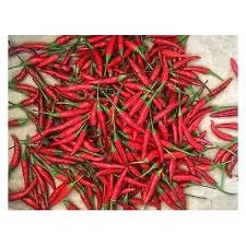 Red Chili Pepper